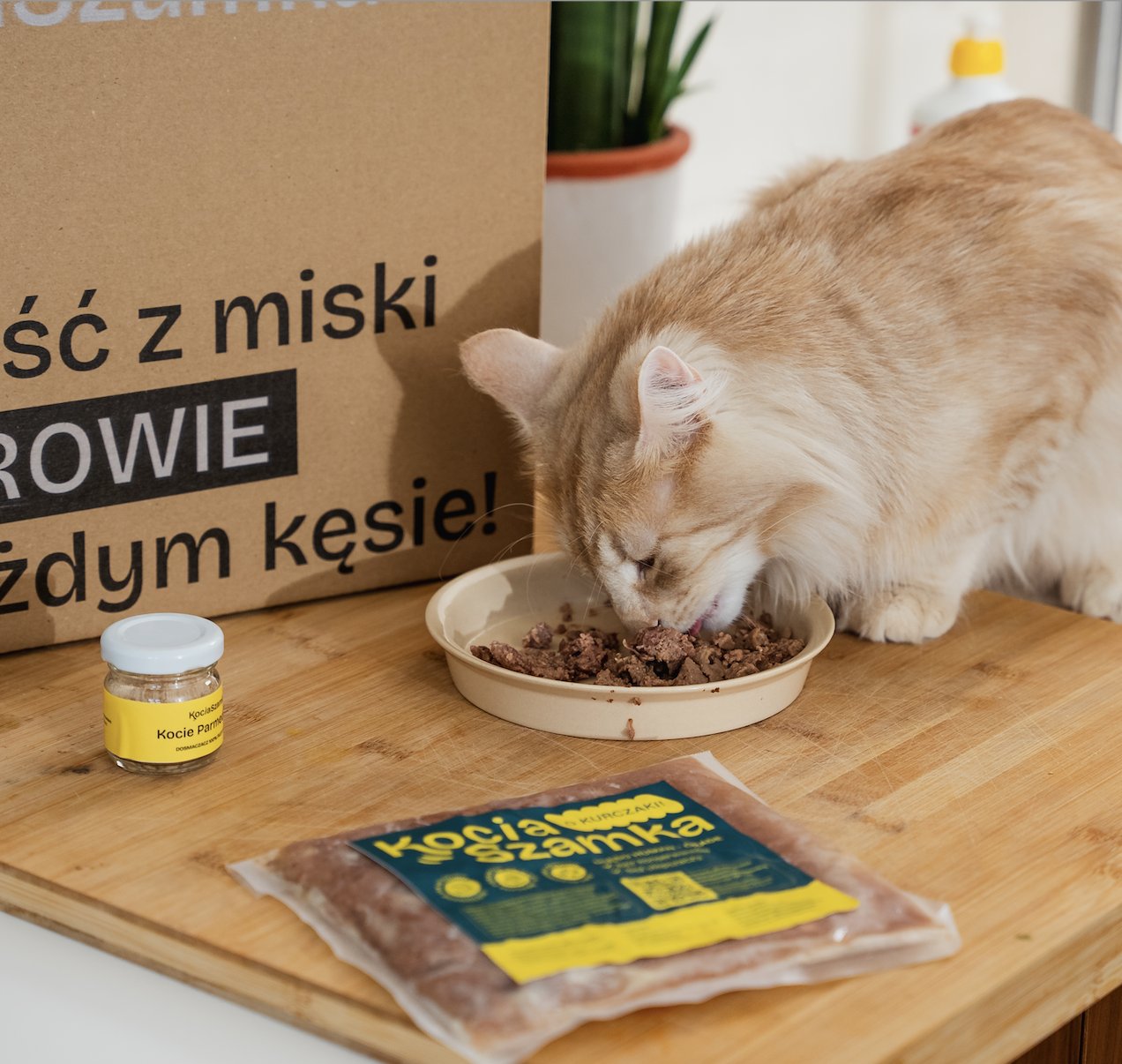 Catering dla kota KociaSzamka